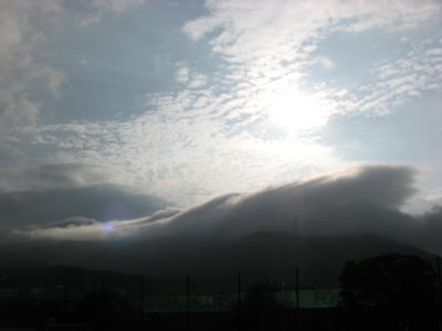 08071905