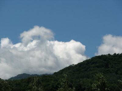08072602