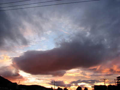 08072802