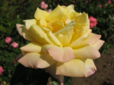 080913