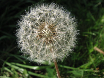 08091304
