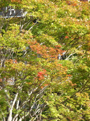 08100403