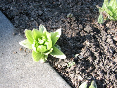 09040501