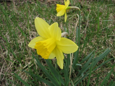 090418