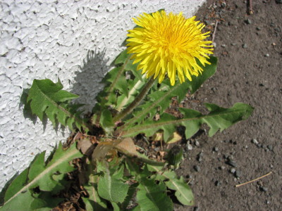09050201