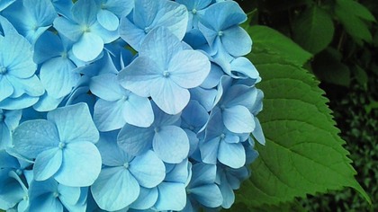 09071103