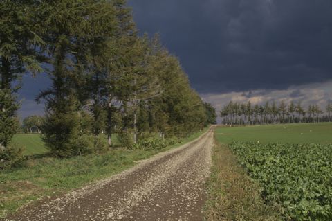 Road