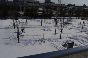 20090301-00.JPG