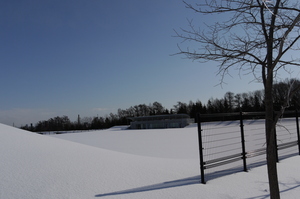 20090301-01.JPG