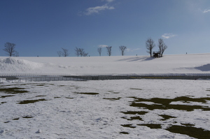 20090301-02.JPG