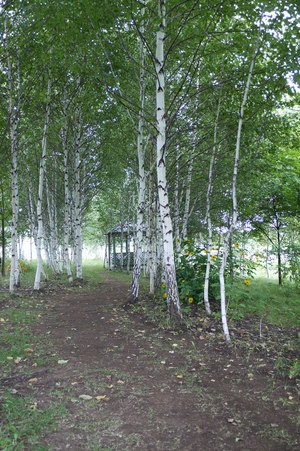 20090915-08.JPG