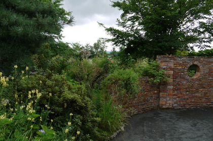 20090915-13.JPG