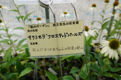20090915-14.JPG