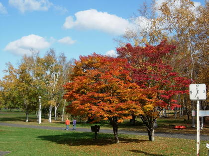 20091028-07.JPG