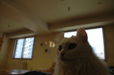 20070702-03.jpg