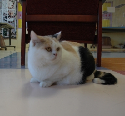 20070702-06.jpg