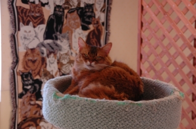 20070702-09.jpg