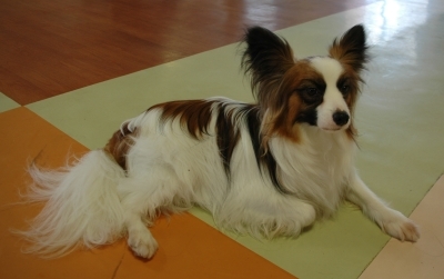 20070703-07.jpg