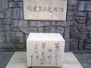 20090728-03.jpg