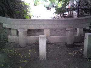 20090728-05.jpg