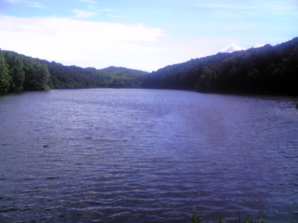 20100720-01.jpg