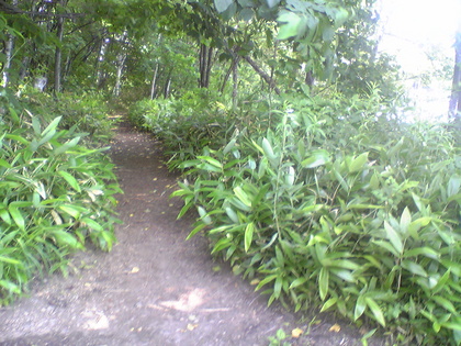 20100720-02.jpg