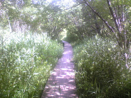 20100720-03.jpg