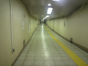 20110207-01.jpg