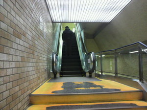 20110207-06.jpg