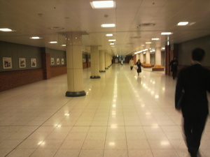 20110315-14.jpg
