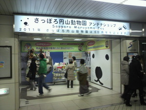 20110315-19.jpg
