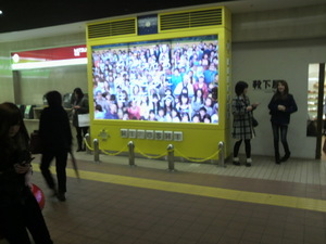 20110315-20.jpg