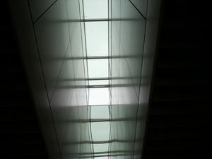 20110315-24.jpg