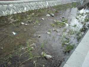 20110420-13.jpg