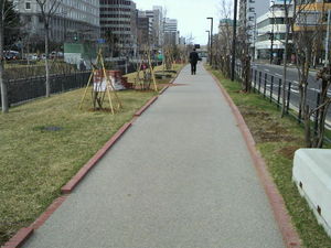 20110420-17.jpg