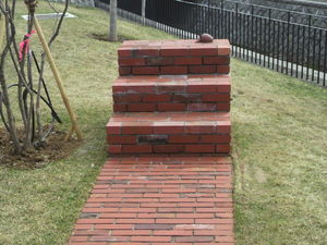20110420-18.jpg
