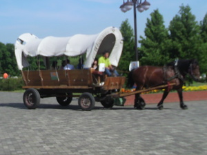 20110929-04.jpg