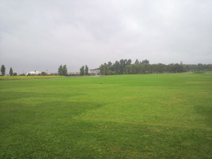 20110929-11.jpg