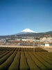 fuji