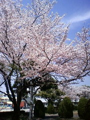 20080406-01.JPG