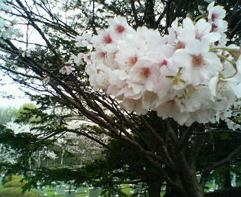 20080504-20.JPG