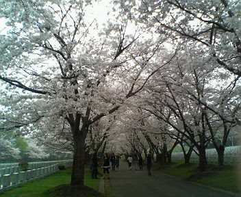 20080504-22.JPG