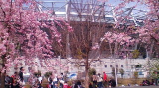 20080405112445.jpg