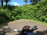 青秋林道終点
