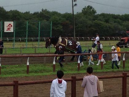 20130915別海輓馬