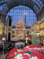 20101223-05.jpg