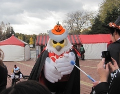 大人気ハロウィンドーレくん☆