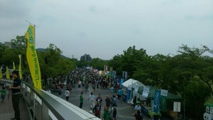 1434554578-gifu7.jpg
