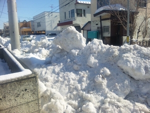 一足早く除雪・・・（@_@;）