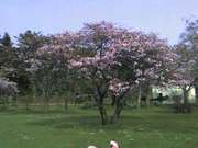 20070516-00.jpg